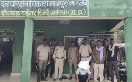 जंगली सुअर के मांस सहित आरोपी हुआ गिरफ्तार
