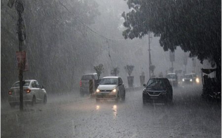 प्रदेश में एक्टिव है एक मौसम प्रणाली, जबलपुर सहित आठ जिलों में भारी बारिश का अलर्ट