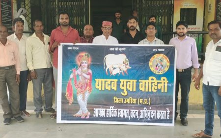 यादव युवा वाहिनी संगठन ने कलेक्टर को सौपा ज्ञापन