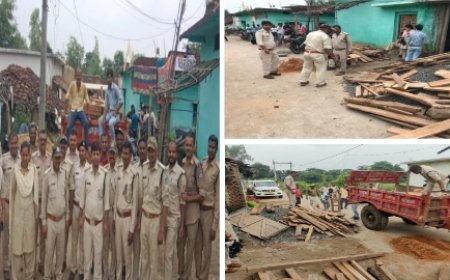इमारती लकड़ी का मिला बड़ा जखीरा,  मुखबिर की सूचना पर आरोपी पकड़े गए, मौके पर  वन अमला