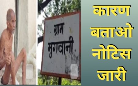 सीईओ जिला पंचायत ने ग्राम रोजगार सहायक को कारण बताओ नोटिस की जारी