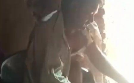 बैल किल के बाद सुरक्षा श्रमिक पर बाघिन ने किया हमला