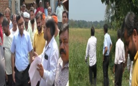 अन्नदाताओं ने तहसीलदार को रोककर सुनाई व्यथा, खेत ले जाकर दिखाई रोग से तबाह धान की फसल, की राहत की मांग