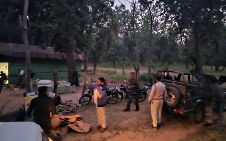 नर हाथी का तांडव लगातार जारी