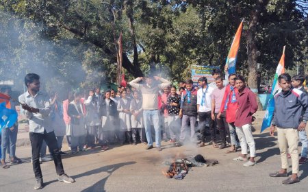 बाबा साहब के लिए किये गए अपमानजनक टिप्पणी के विरोध में एनएसयूआई ने जलाया अमित शाह का पुतला