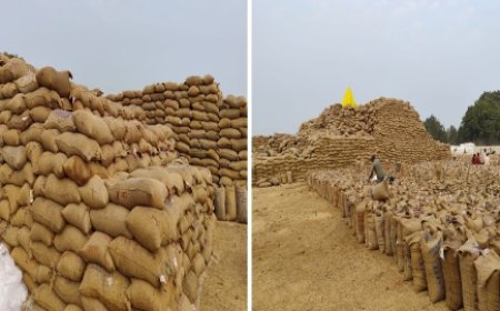उपार्जन केंद्रों में लगा धान का अंबार, परिवहन न होने से हो परेशानी