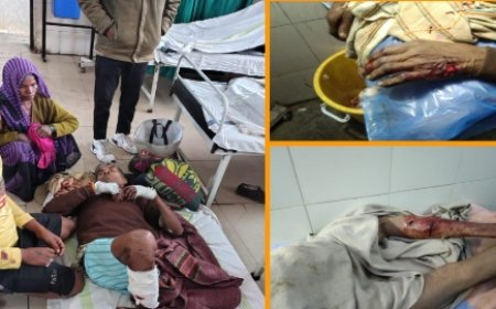 टाइगर अटैक से वृद्ध घायल, दहशत में ग्रामीण