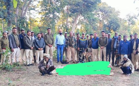बाघ की मौत के बाद भदार नदी के बगल में दफनाया, दो शिकारी गिरफ्तार