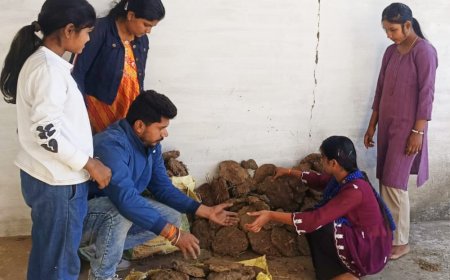 कंडो की होली जलाओ अभियान ने पकड़ी गति, व्यवस्थाएं करने में जुटे युवा