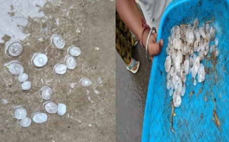 जिले के कई क्षेत्र में ओला वृष्टि से किसानों को भारी नुकसान का अंदेशा