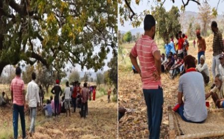 दर्दनाक हादसा : थ्रेसर में फंसकर आदिवासी महिला मजदूर की हुई मौत