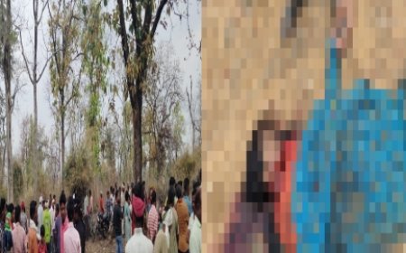 घर से कुछ ही दूरी पर महुआ बीन रही महिला पर टाईगर ने किया हमला,महिला की हुई मौत