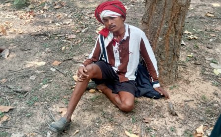बाघ के हमले से घायल हुआ युवक