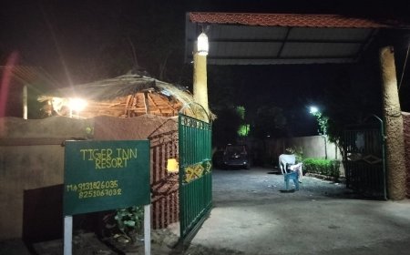 बांधवगढ़ नेशनल पार्क बना 'भ्रष्टाचार का जंगल', रिजॉर्ट मालिकों की मनमानी से स्थानीय प्रशासन और ग्राम पंचायत बेबस