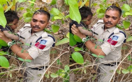 02 साल की मासूम बच्ची को पुलिस की तत्परता से सकुशल ढूंढ निकाला गया