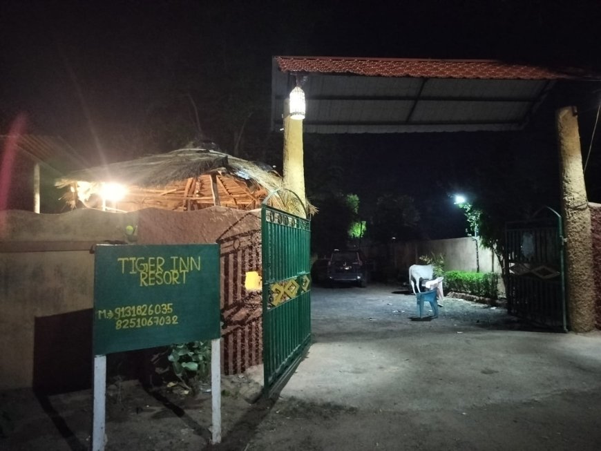 बांधवगढ़ नेशनल पार्क बना 'भ्रष्टाचार का जंगल', रिजॉर्ट मालिकों की मनमानी से स्थानीय प्रशासन और ग्राम पंचायत बेबस