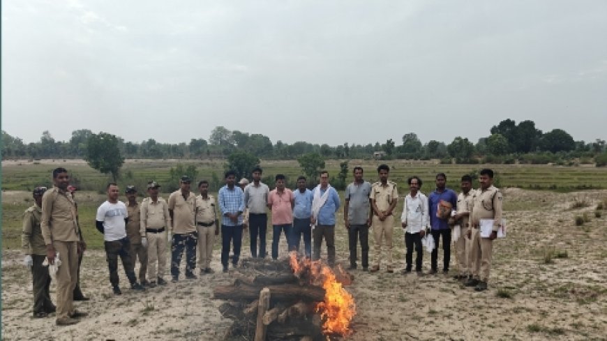 तेंदुवे के मिले कंकाल से सनसनी, दो हफ्ते से मांसाहार जानवरो का बना था निवाला