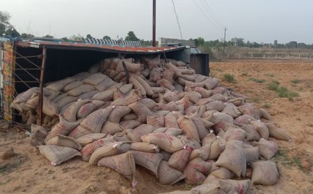 चावल से भरा ट्रक  सिंहपामर के आगे बरही रोड के पास पल्टा