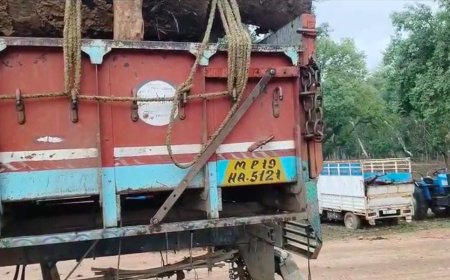 वन विकास निगम की टीम ने बिना ट्रांसपोर्ट परमिट के परिवहन करती 13 घन मीटर साल की लकड़ी सहित ट्रक को किया जप्त