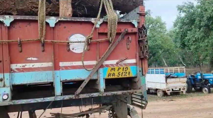वन विकास निगम की टीम ने बिना ट्रांसपोर्ट परमिट के परिवहन करती 13 घन मीटर साल की लकड़ी सहित ट्रक को किया जप्त