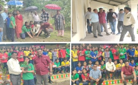 केन्द्रीय विद्यालय परिसर में कलेक्टर ने बच्चो के साथ किया पौधरोपण