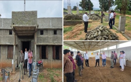 सीईओ जिला पंचायत ने विभिन्न ग्रामों का किया निरीक्षण