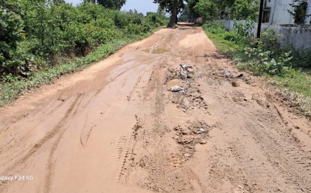तहसील रोड की जर्जर हालत, स्कूली बच्चों और आम जनता के लिए बनी जानलेवा