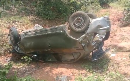 तेज रफ्तार कार हुई चारो खाने चित्त, पूर्व मंत्री की बेटी-दामाद घायल