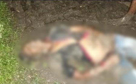 बाड़ी में दौड़ रहा था मौत का करंट,  47 वर्षीय व्यक्ति की दर्दनाक मौत, सवालों के घेरे में खेत मालिक