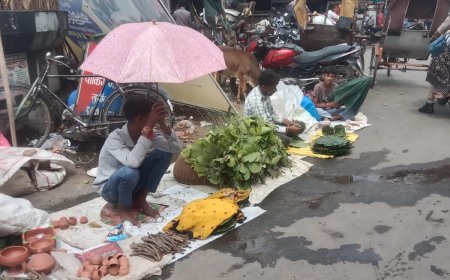 बलराम जयंती हल छठ पर्व आज