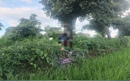 तमरहा हार के खेत में पेड़ से लटका मिला अज्ञात शव, इलाके में सनसनी