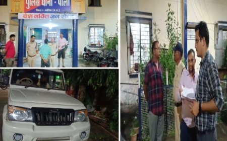 बड़ी कार्यवाही : पाली में हड़कंप! बोलेरो से 26 पेटी शराब बरामद