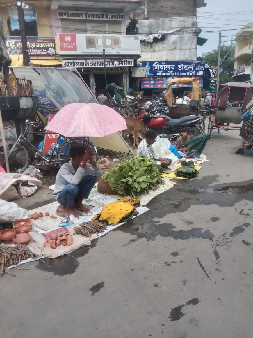 बलराम जयंती हल छठ पर्व आज