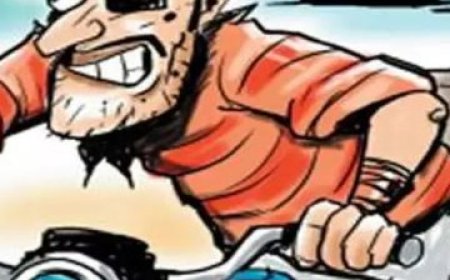 चोरों ने पार कर दी दर्शनार्थी की बाइक, पाली में चोरों के हौसले बुलंद