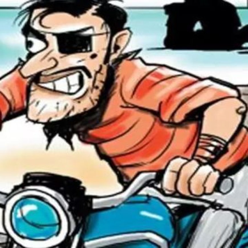 चोरों ने पार कर दी दर्शनार्थी की बाइक, पाली में चोरों के हौसले बुलंद