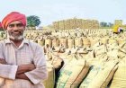 समर्थन मूल्य पर धान उपार्जन का कार्य 1 दिसंबर से