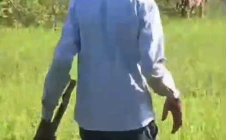 गाँव में दो बाघों की दस्तक से मचा हड़कंप