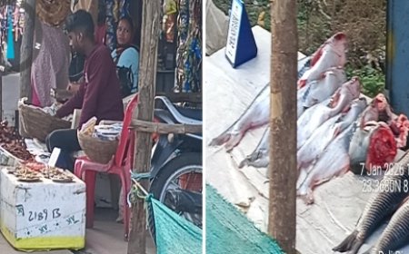 मुख्यमंत्री के आदेश का पालन हवा हवाई, खुलेआम बिक रहा मांस मछली