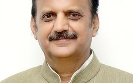 उप मुख्यमंत्री जिले के भ्रमण पर