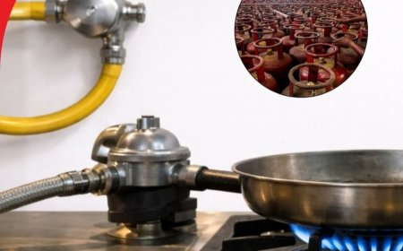 कमर्शियल गैस सिलेंडर इस्तेमाल करने वालों से सरकार की बड़ी अपील