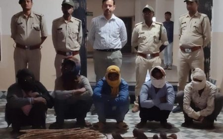 करंट से बाघिन की मौत मामले में पांच शिकारी धरे गए, आरोपी रिमांड में