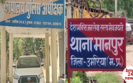 पुलिस ने चलाया यातायात जागरूकता अभियान