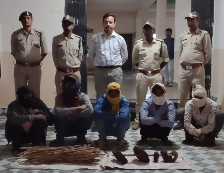 करंट से बाघिन की मौत मामले में पांच शिकारी धरे गए, आरोपी रिमांड में