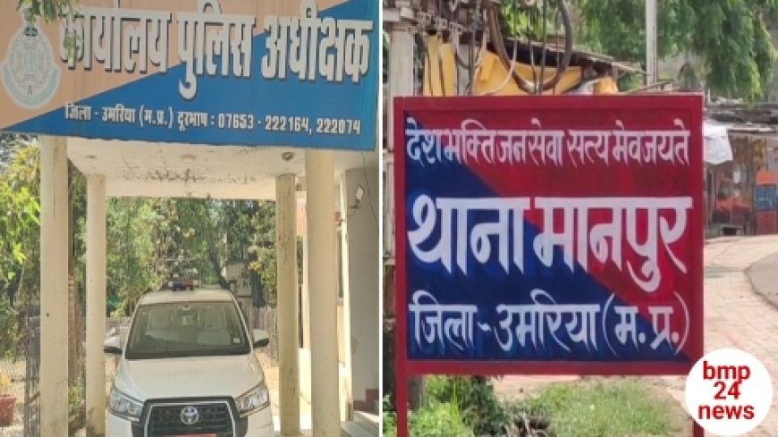 पुलिस ने चलाया यातायात जागरूकता अभियान