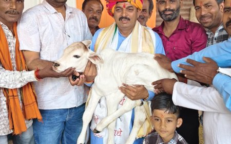 "हर हर गाय घर घर गाय" के संकल्पधारी, किसानों और संगठन के लिए निरंतर समर्पित - राजेंद्र सिंह राजपूत