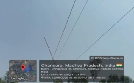 11 हजार केवी ने छीनी जिंदगी