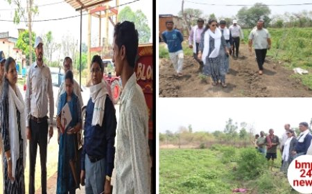 पठारी में कस्टम हायरिंग सेंटर और धौरई में सब्जी उत्पादन का कलेक्टर ने लिया जायजा