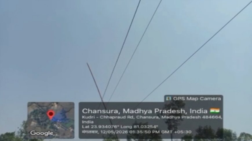 11 हजार केवी ने छीनी जिंदगी