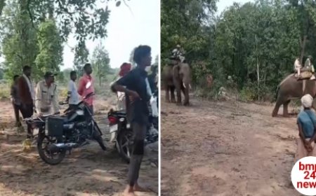 बड़ी मां के बाद 24 घण्टे के अंदर भतीजे को भी निवाला बनाया टाइगर