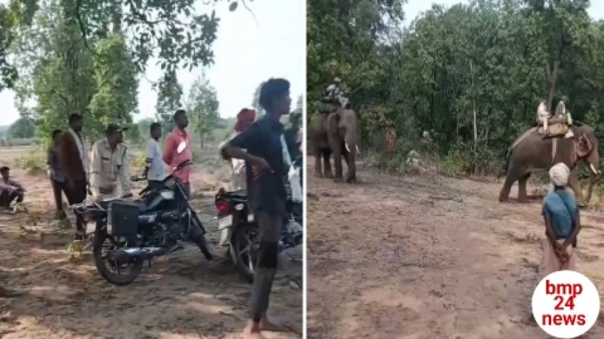 बड़ी मां के बाद 24 घण्टे के अंदर भतीजे को भी निवाला बनाया टाइगर